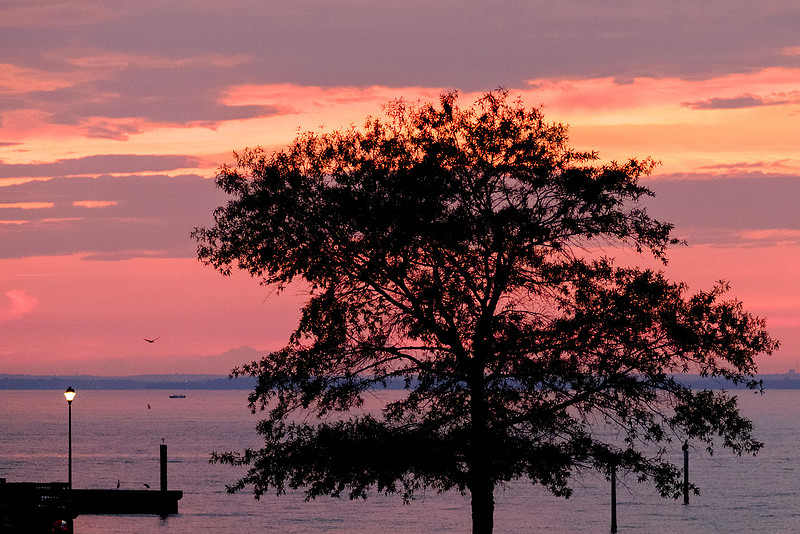 Fairhope Municipal Pier