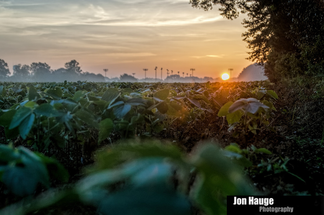 robertsdale sunrise 091613 001