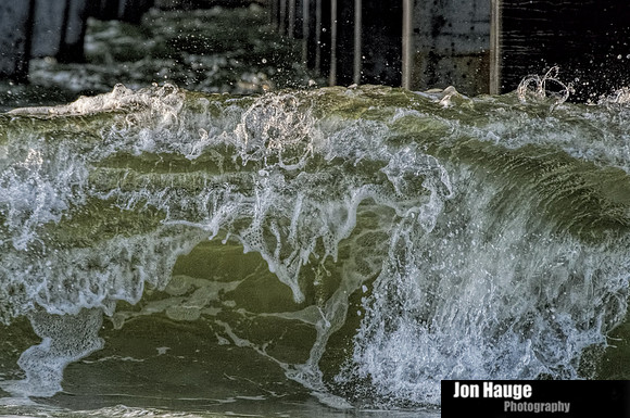 Gulf Shores Photographer