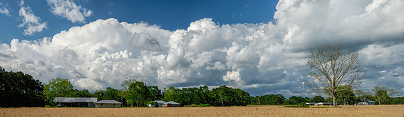 Robertsdale Thunderstorm