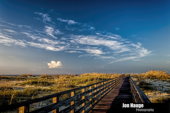 Orange Beach Photographer