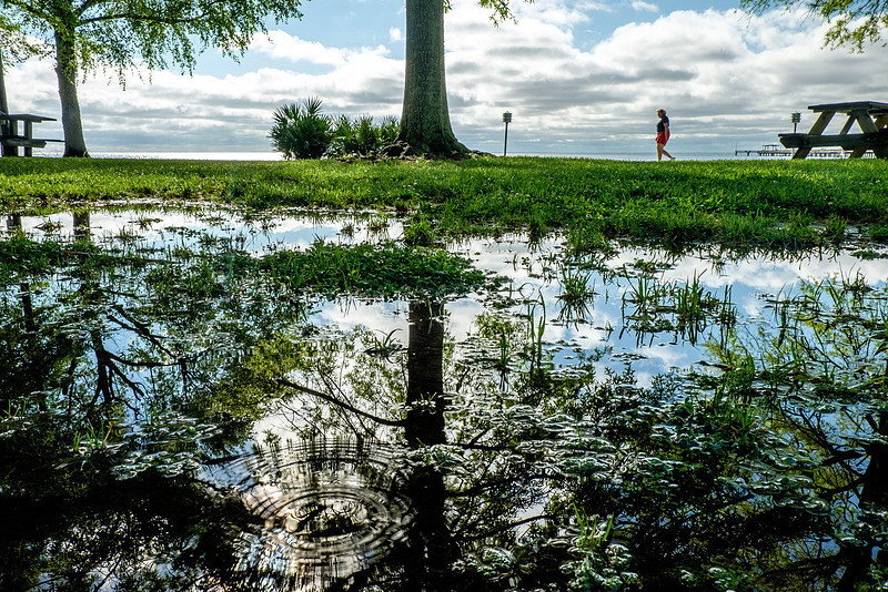 Fairhope Photography