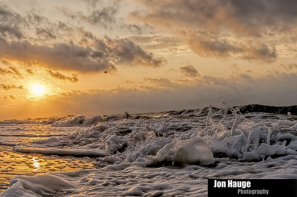 Gulf Shores Photographer