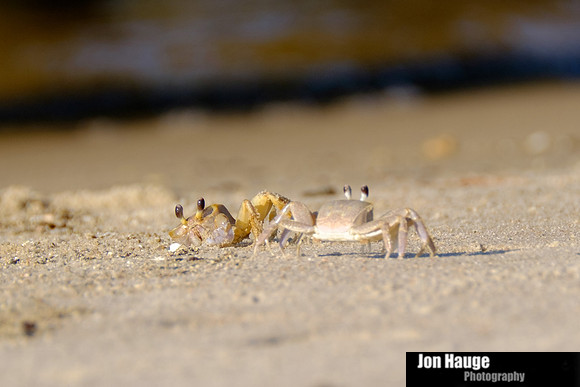Fort Morgan Photographer