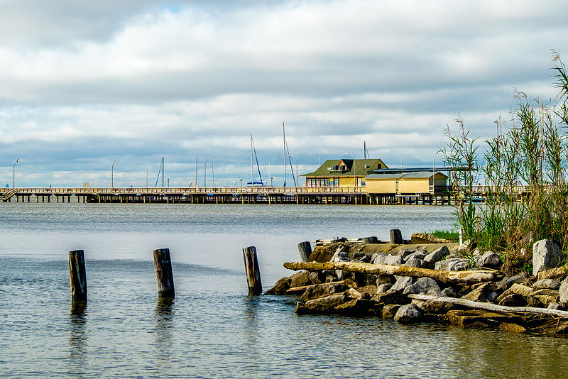 Fairhope Photography