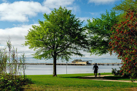 Fairhope Photography