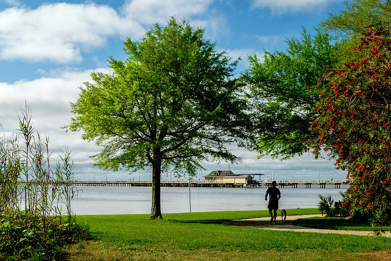 Fairhope Photography