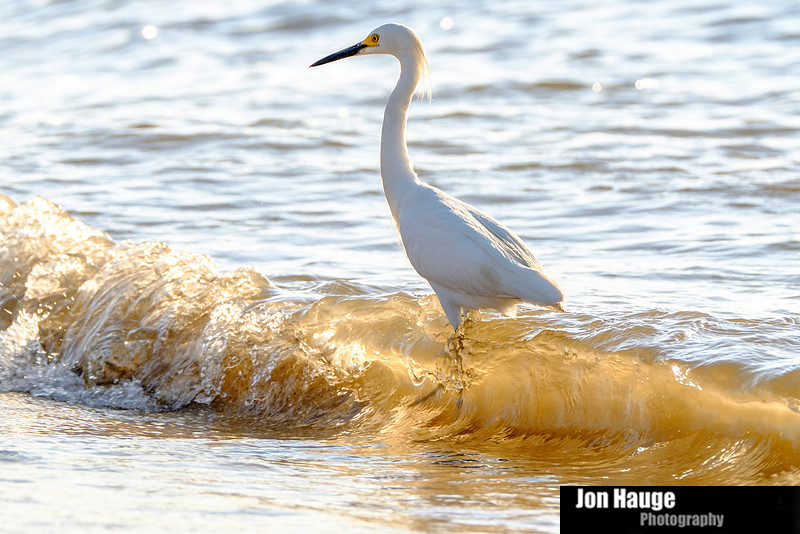 Fort Morgan Photographer