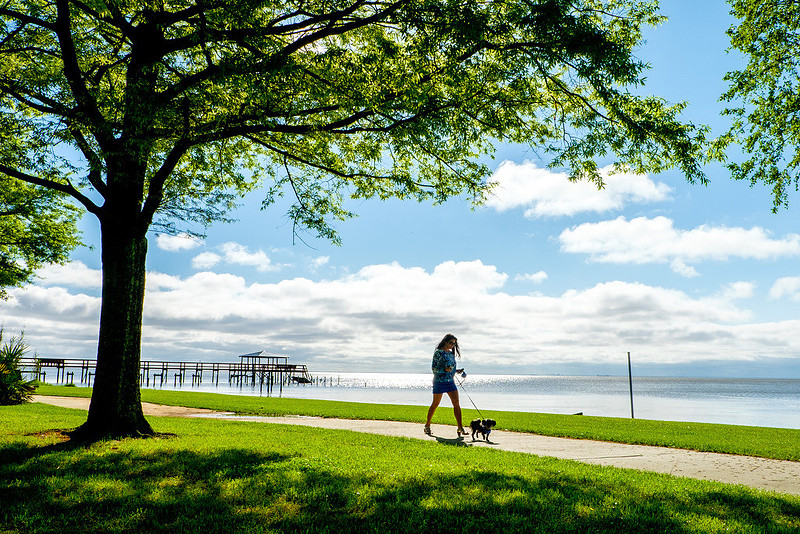 Fairhope Photography
