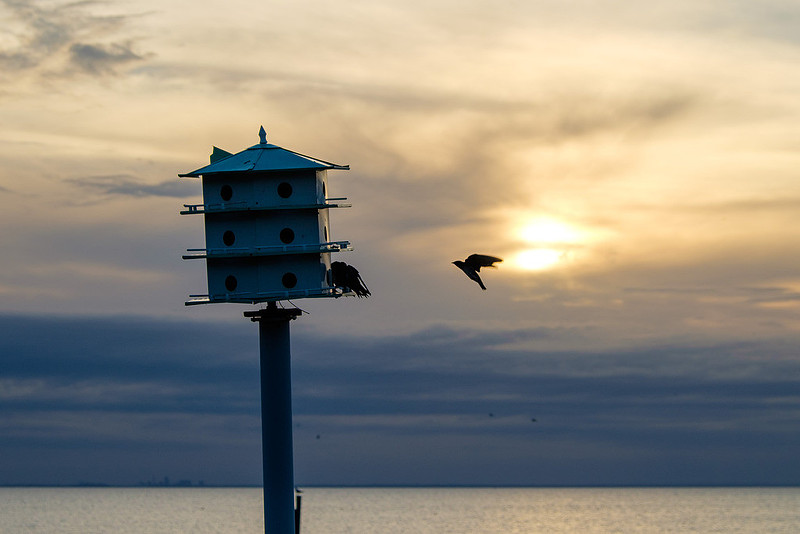 April Evenng at Fairhope Pier