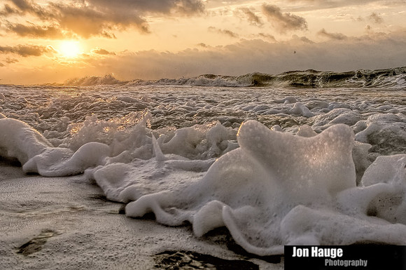 Gulf Shores Photographer