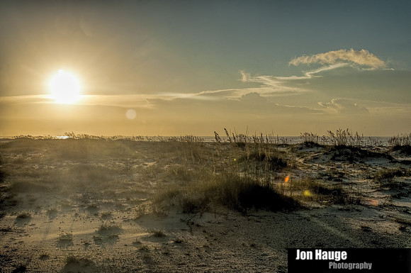Orange Beach Photographer