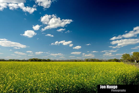 Foley Landscape