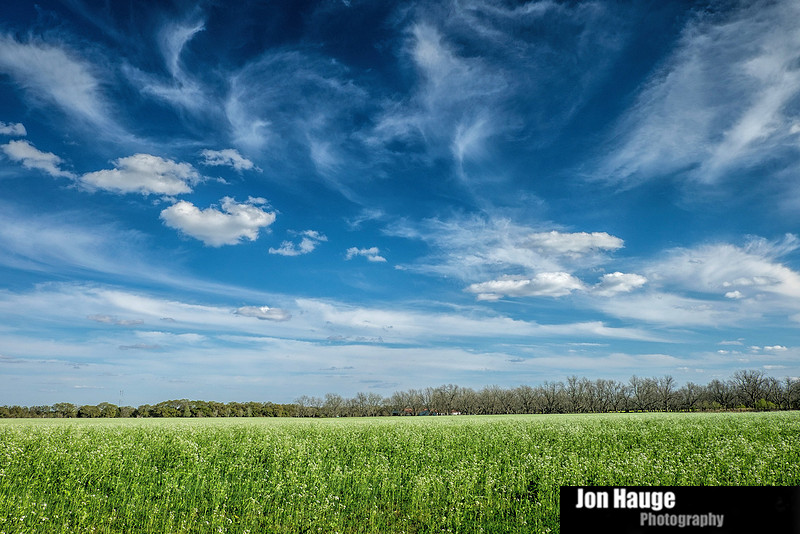 Foley Landscape