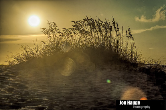 Orange Beach Photographer