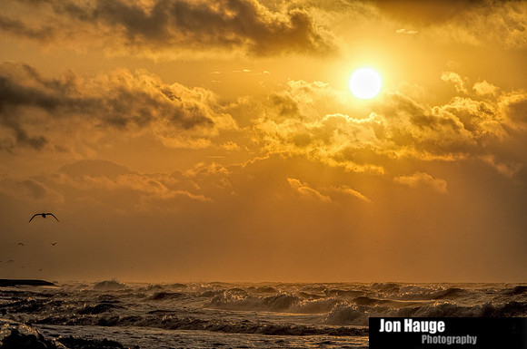 Gulf Shores Photographer