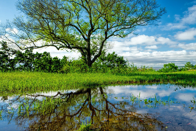 Fairhope Photography
