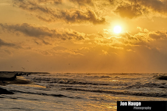Gulf Shores Photographer