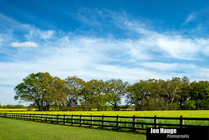 Foley Landscape