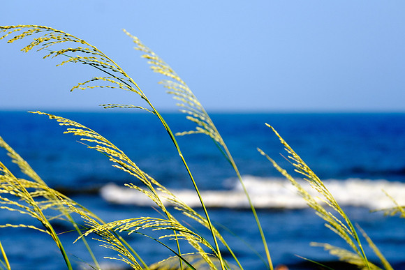 Perdido Key Photographer
