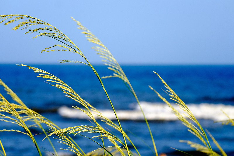 Perdido Key Photographer