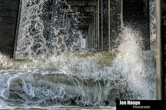 Gulf Shores Photographer