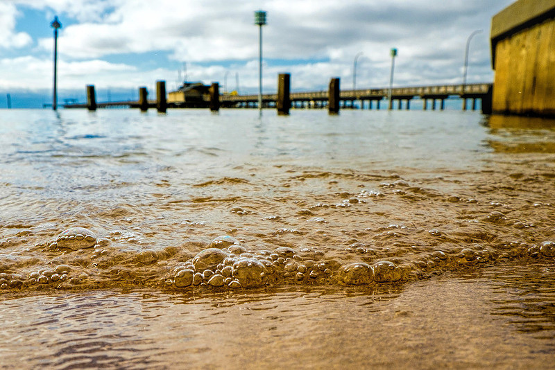 Fairhope Photography