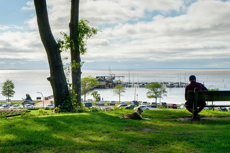 Fairhope Photography