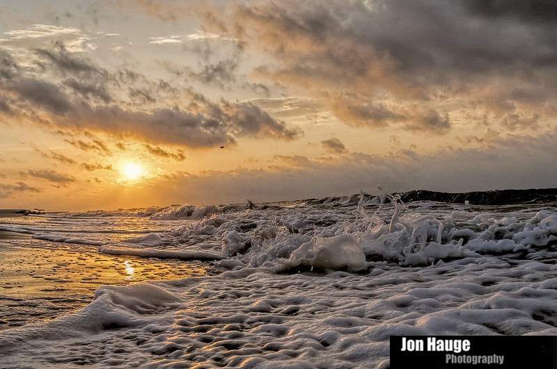Gulf Shores Photographer