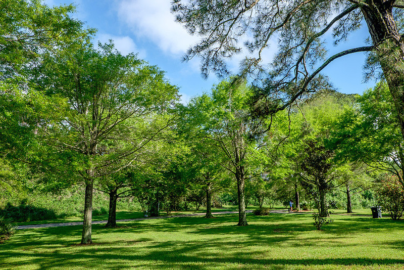 Fairhope Photography