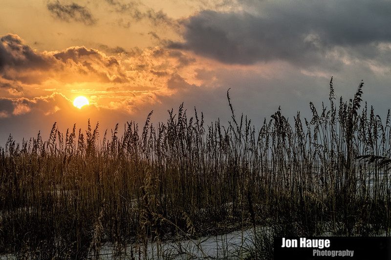 Gulf Shores Photographer