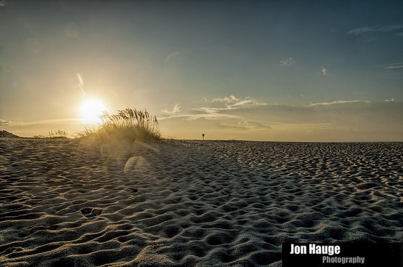 Orange Beach Photographer