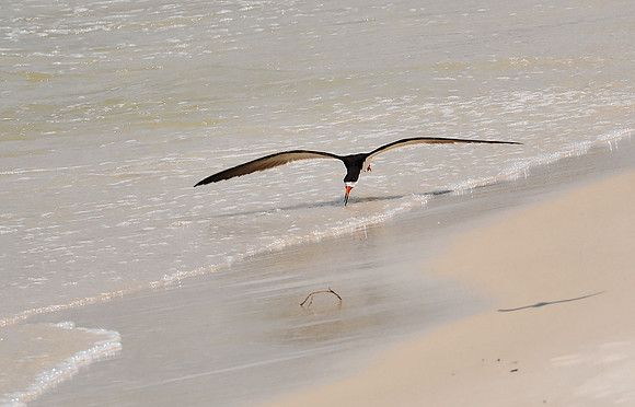 Perdido Pass