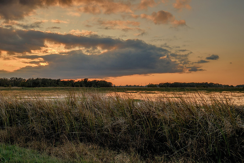 Sunset at the Savannah National Wildlife Refuge
