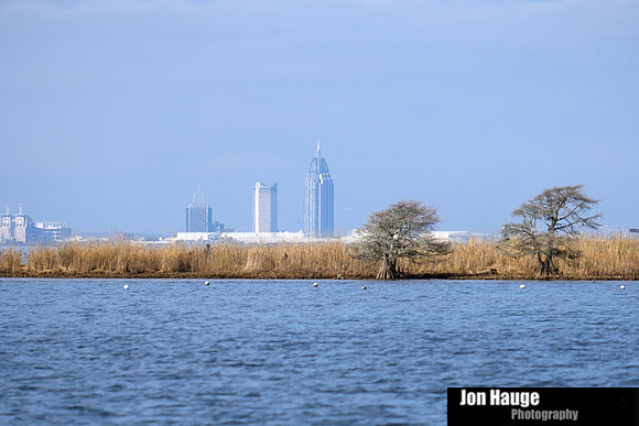 Mobile From Blakeley River