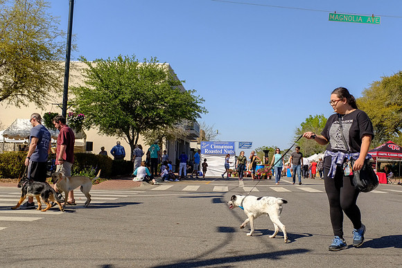 Fairhope Arts and Crafts Festival 2017