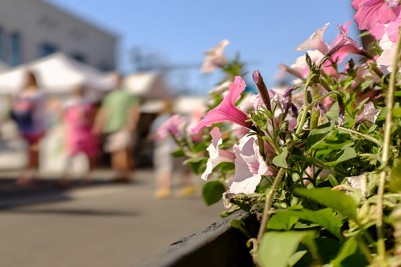 Fairhope Arts and Crafts Festival 2017