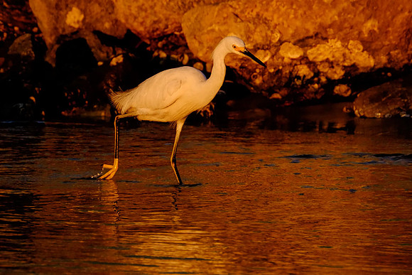 Fort Morgan Photographer