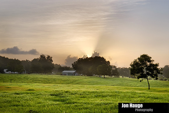 Silverhill Sunrise