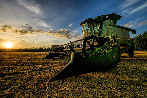 Harvest Sunrise