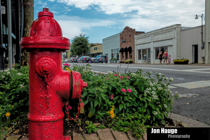 Fairhope Photographer