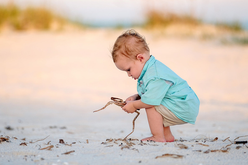Perdido Key Family Photographer