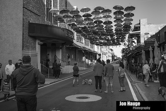 Umbrellas in Pensacola