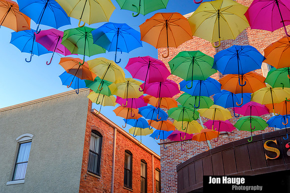 Umbrellas in Pensacola