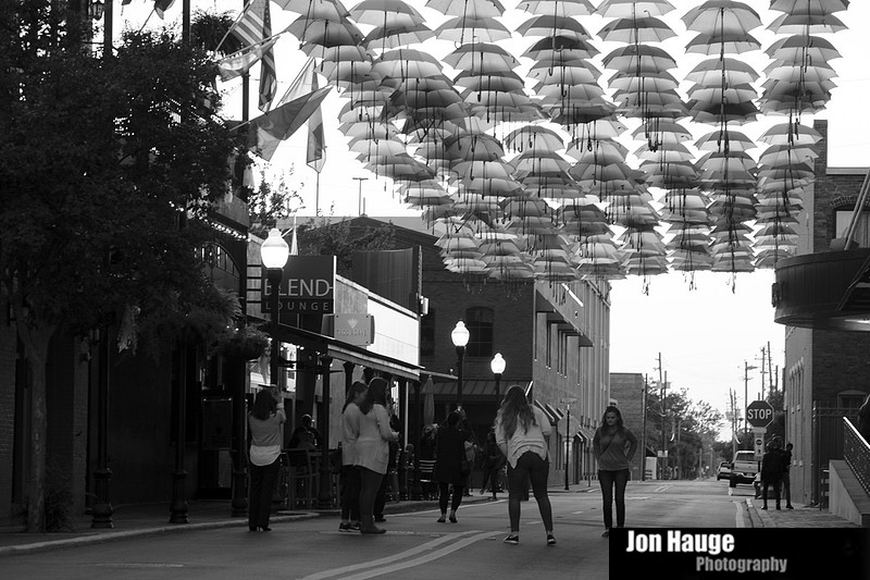 Umbrellas in Pensacola