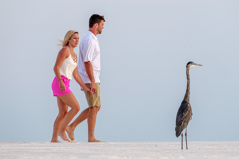 Beach Propsoal Photographer in Orange Beach Alabama