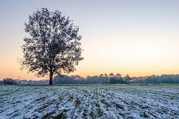 Baldwin County Snow Morning