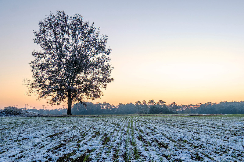 Baldwin County Snow Morning