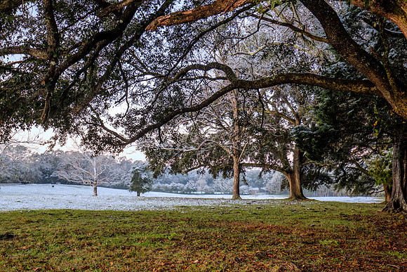 Snow in Robertsdale Alabama