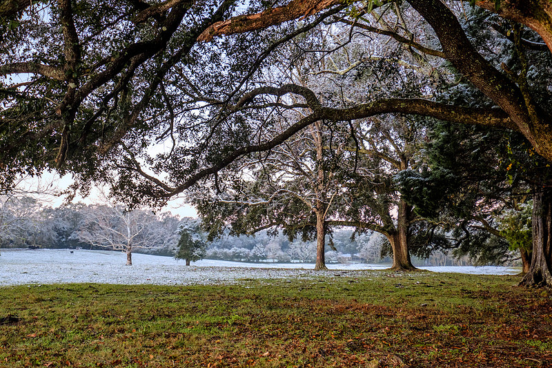 Snow in Robertsdale Alabama